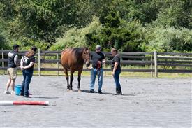 LR-WRF 08022025-Retreat-3220